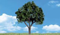 Cool Shade - 4/pkg - Image 1