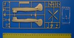 1_aca1669_2.jpg