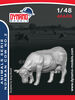 Animals Serie - Norman Cow No.2