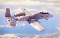 N/AW A-10A  THUNDERBOLT  II - Image 1