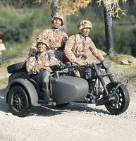 BMW R75 with Sidecar - Team