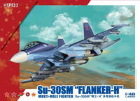 Su-30SM "Flanker-H" Multi-Role Fighter